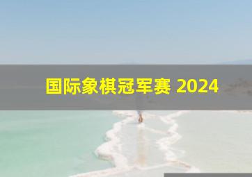 国际象棋冠军赛 2024